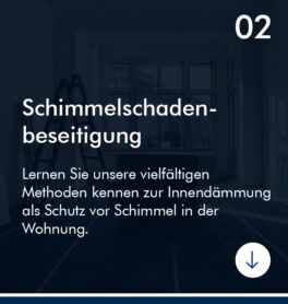 Schimmelschadenbeseitigung_a